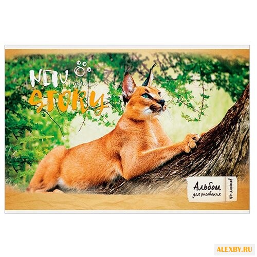 Альбом для рисования ArtSpace