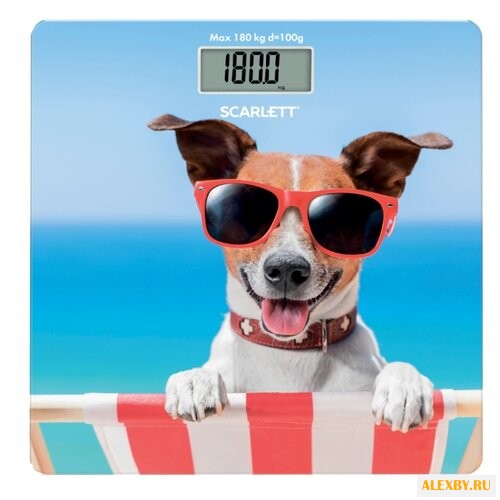 Весы Scarlett SC-BS33E059
