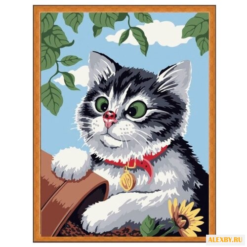 Цветной Картина по номерам