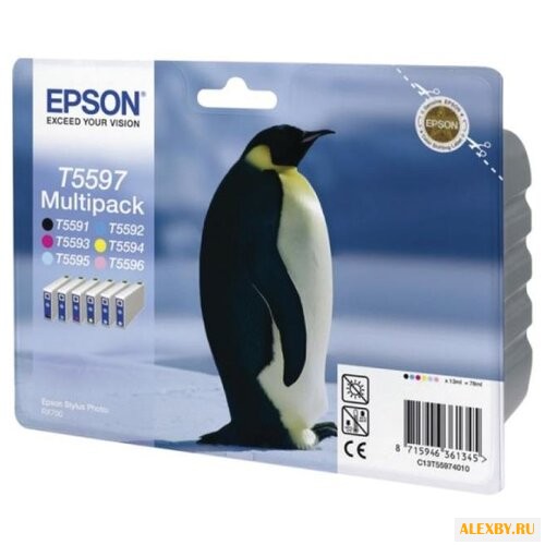 Картридж Epson C13T55974010