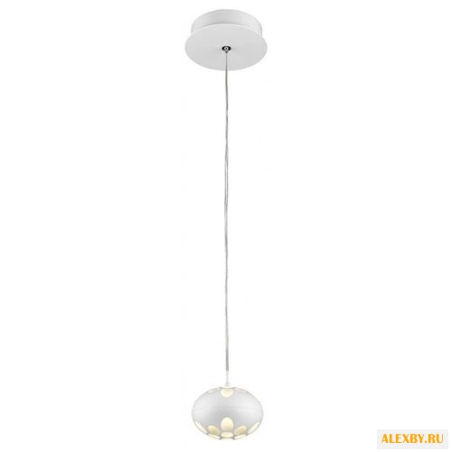 Wertmark Augen WE438.01.006