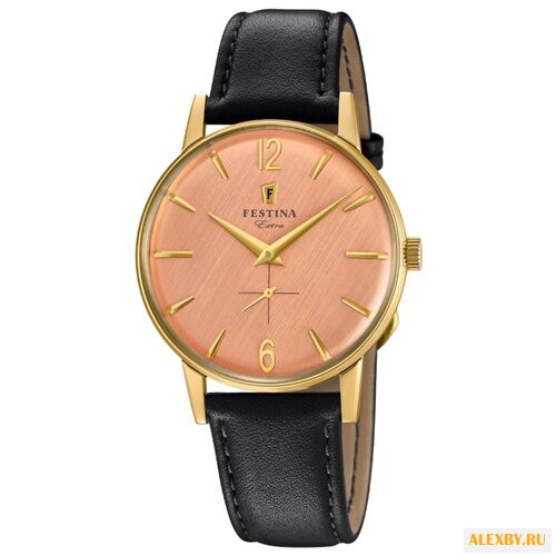 Наручные часы FESTINA F20249 3