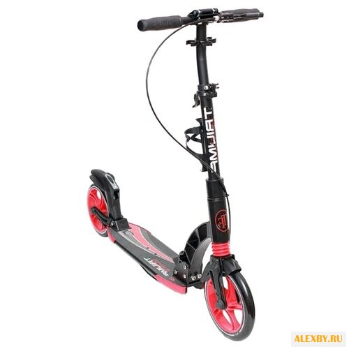 Городской самокат Triumf Active