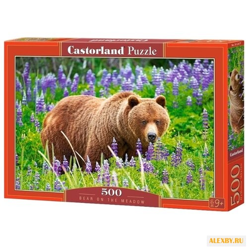 Пазл Castorland Bear on the