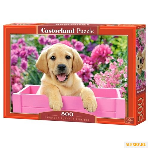 Пазл Castorland Labrador Puppy
