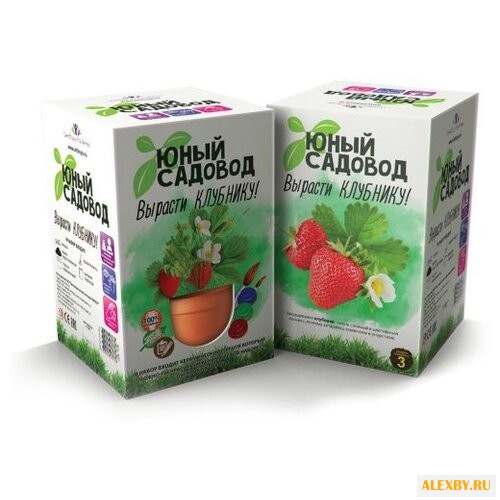 Набор для выращивания