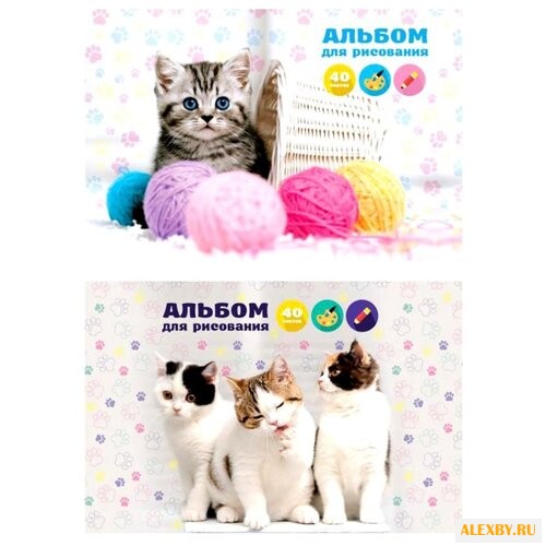 Альбом для рисования на скрепке
