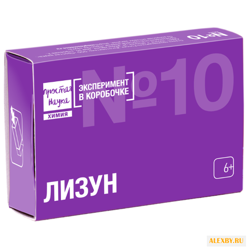 Набор Простая Наука Лизун 310