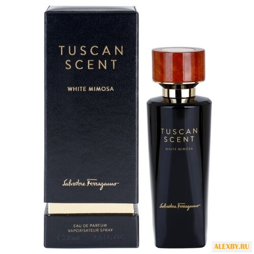 Salvatore Ferragamo White Mimosa