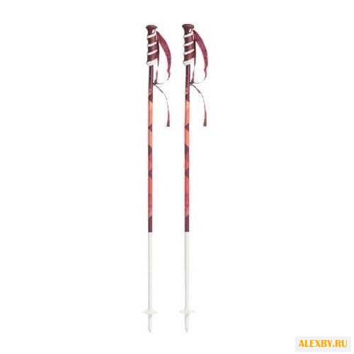 Палки для горных лыж Swix W Line