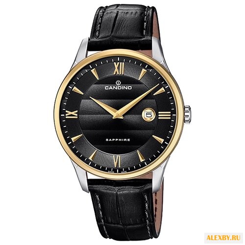 Наручные часы CANDINO C4640 4