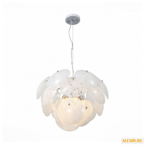 ST Luce Nelumbo SL301.503.05