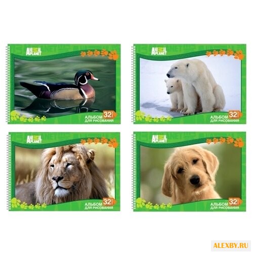 Альбом для рисования Action!