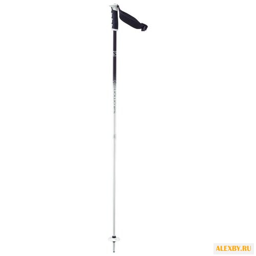 Палки для горных лыж Salomon