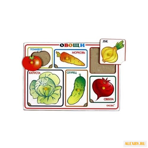Рамка-вкладыш Оксва Овощи