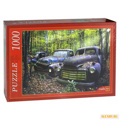 Пазл Рыжий кот Забытые машины