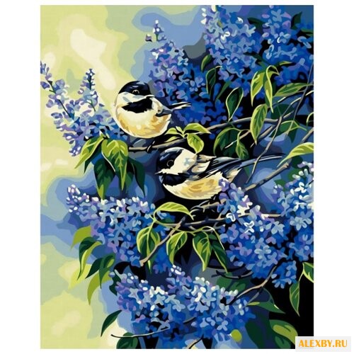 Белоснежка Картина по номерам