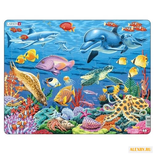 Рамка-вкладыш Larsen Коралловый