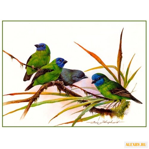 Цветной Картина по номерам