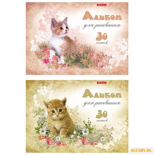 Альбом для рисования