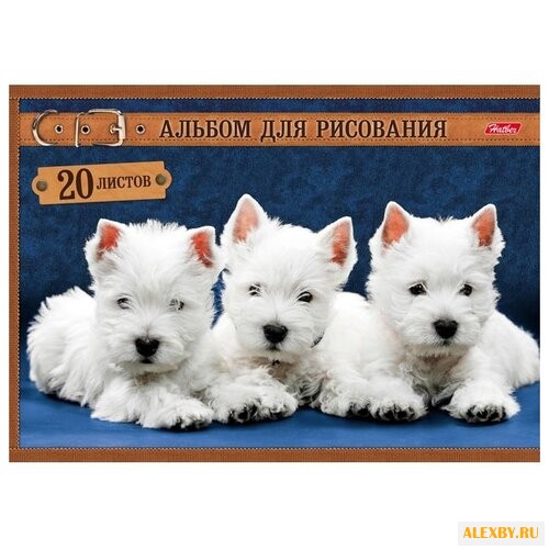 Альбом для рисования Hatber