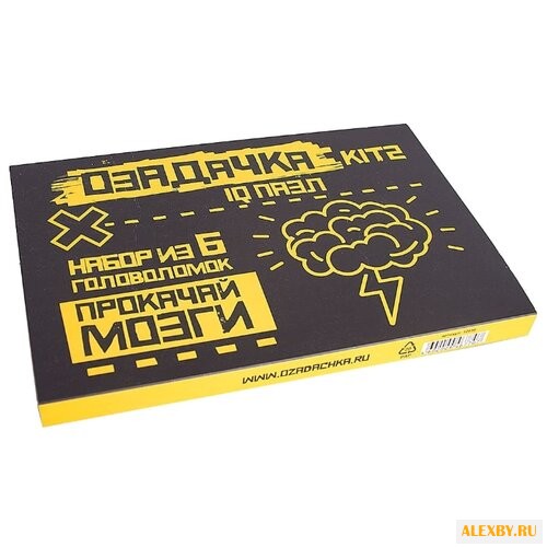 Набор головоломок Озадачка IQ