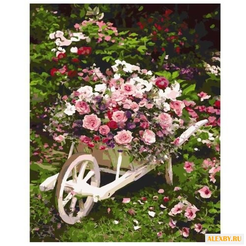 Paintboy Картина по номерам