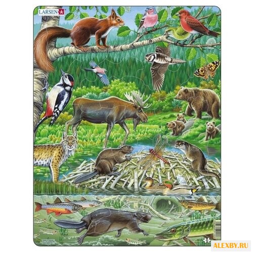 Рамка-вкладыш Larsen Северный