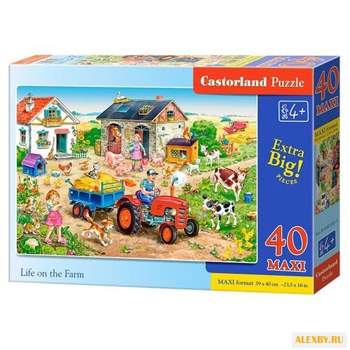 Пазл Castorland Life on the