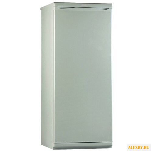 Морозильник Pozis Свияга 106-2 S