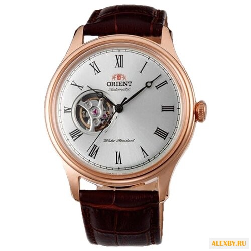 Наручные часы ORIENT AG00001S