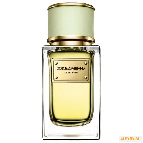 DOLCE & GABBANA Velvet Pure