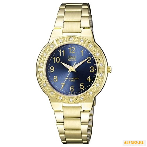 Наручные часы Q&Q Q901 J005