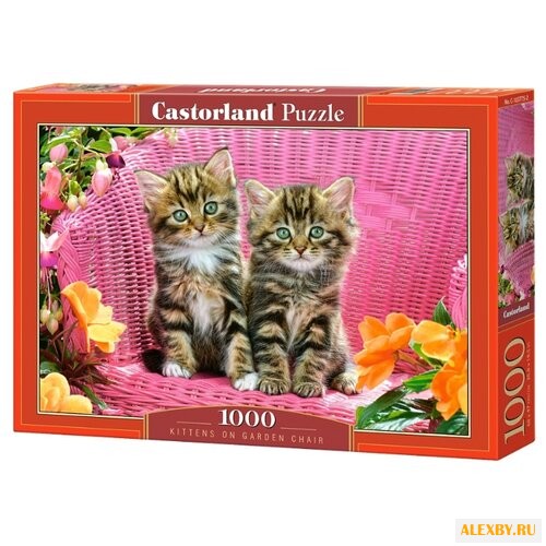 Пазл Castorland Kittens on