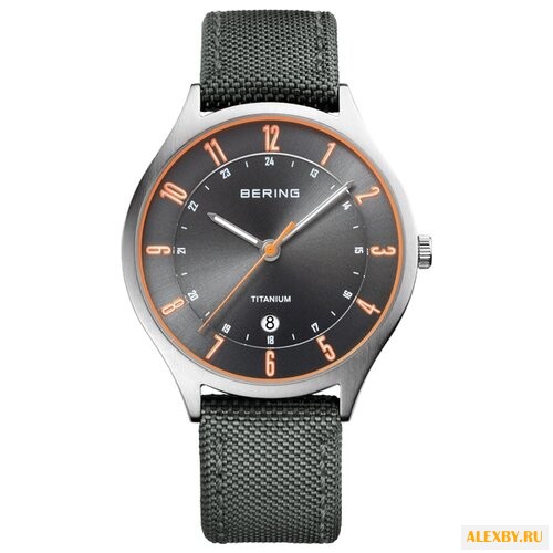 Наручные часы BERING 11739-879