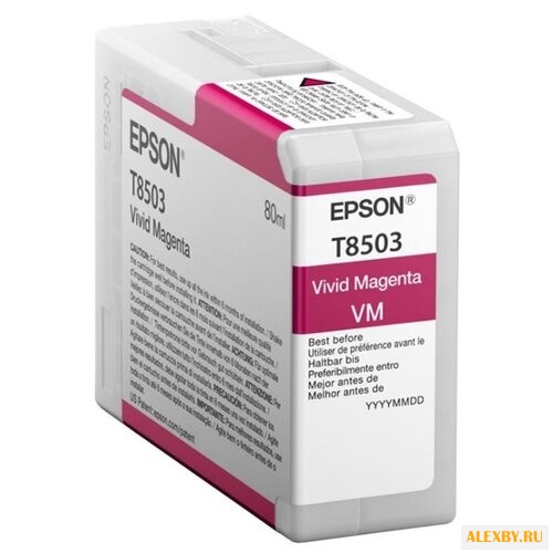 Картридж Epson C13T850300