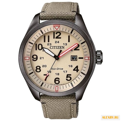 Наручные часы CITIZEN AW5005-12X