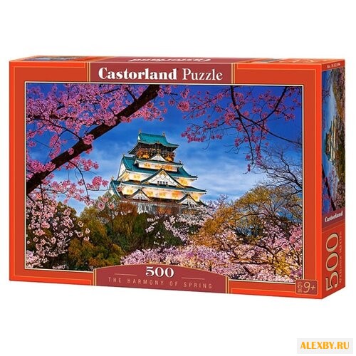 Пазл Castorland The Harmony of