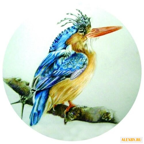 Цветной Вышивка крестом Птица