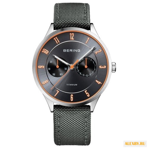 Наручные часы BERING 11539-879
