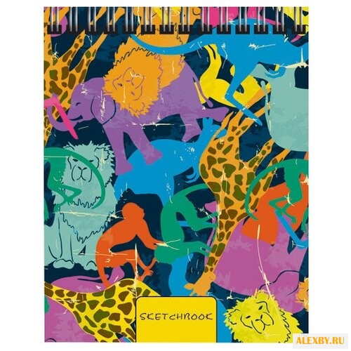 Скетчбук Канц-Эксмо Красочные