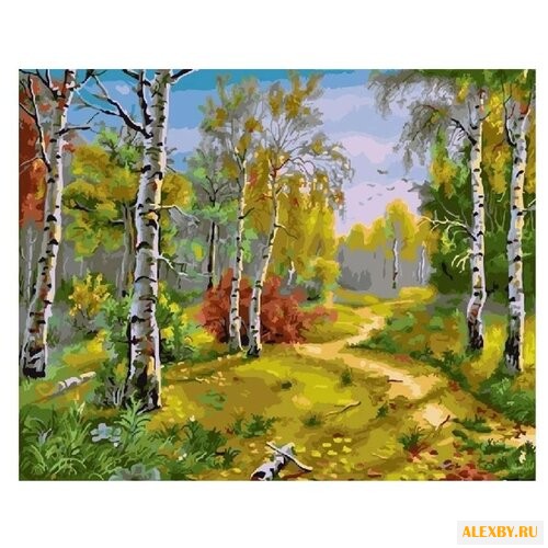 Color Kit Картина по номерам