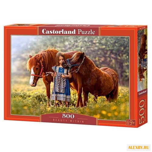 Пазл Castorland Beauty Within
