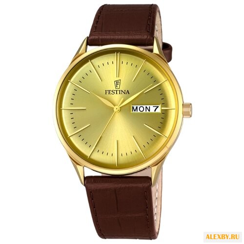 Наручные часы FESTINA F6838 2