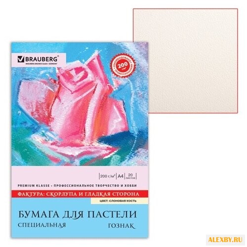 Папка для пастели BRAUBERG