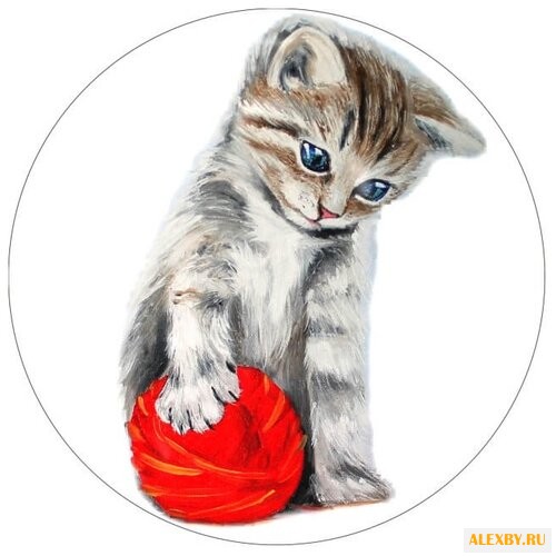 Цветной Вышивка крестом Котенок