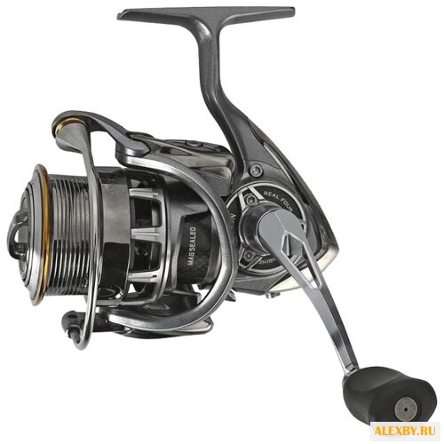 Катушка DAIWA Exist 2506 12