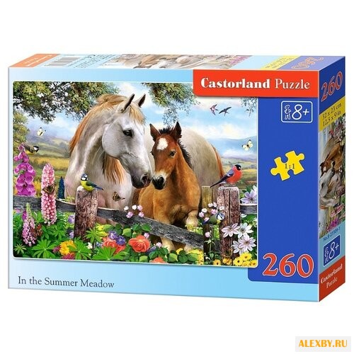 Пазл Castorland In the summer