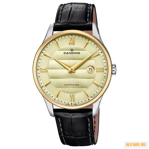 Наручные часы CANDINO C4640_2