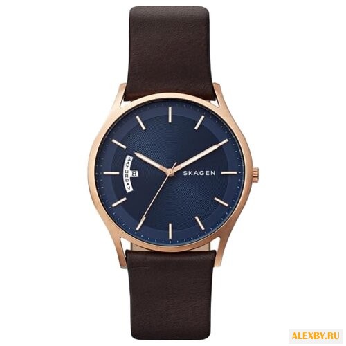 Наручные часы SKAGEN SKW6395